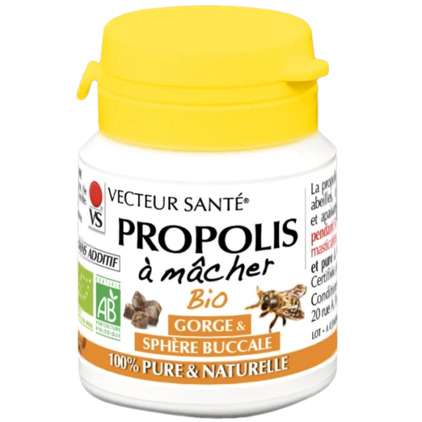 PROPOLIS BIO À MÂCHER Vecteur Santé