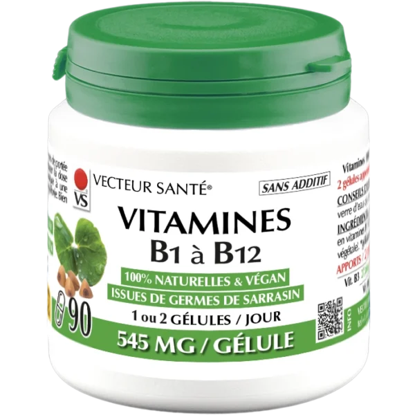 VITAMINES B NATURELLES Vecteur Santé