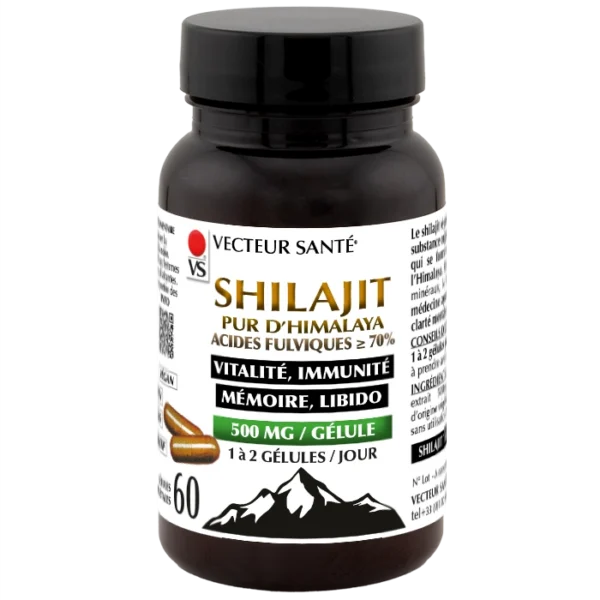 SHILAJIT GÉLULES Vecteur Santé