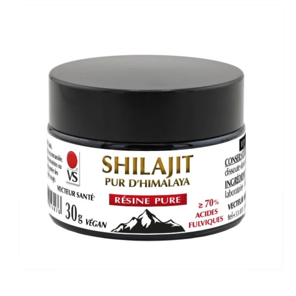 SHILAJIT RÉSINE vecteur santé